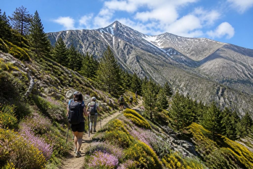 découvrez les meilleurs itinéraires pour une randonnée réussie au canigou. conseils, parcours et astuces pour profiter pleinement de cette montagne emblématique des pyrénées.